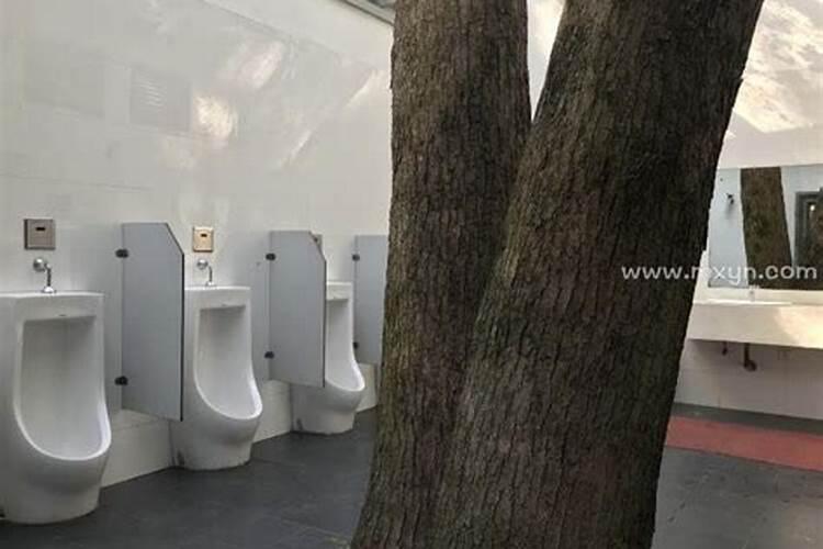 梦见去世外公掉厕所