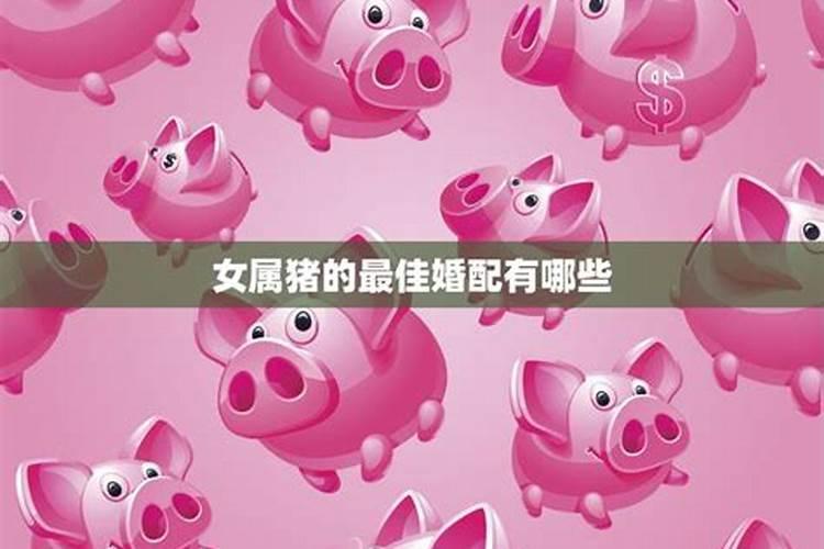 猪女婚配有哪几个属相？