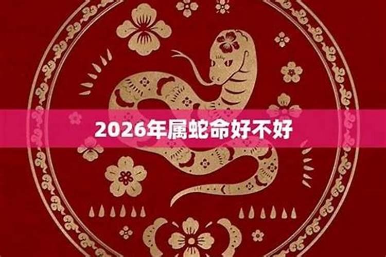 属蛇65年的在2026年的运程