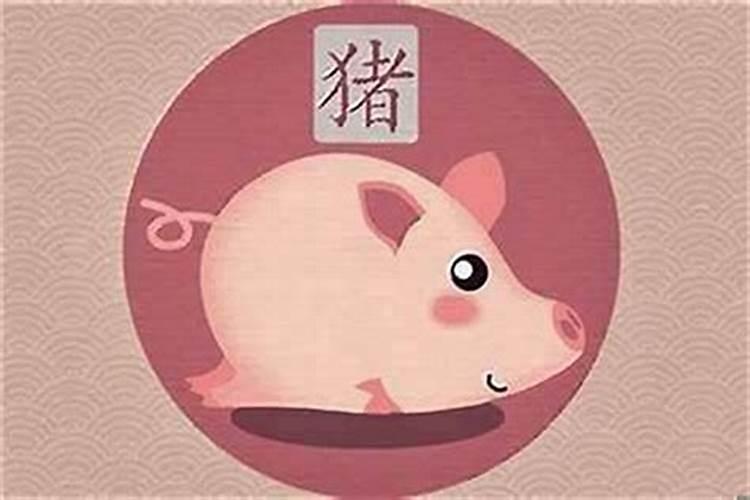 属猪七月出生的运程