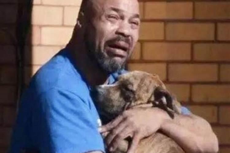 梦见狗死了又复活又攻击我