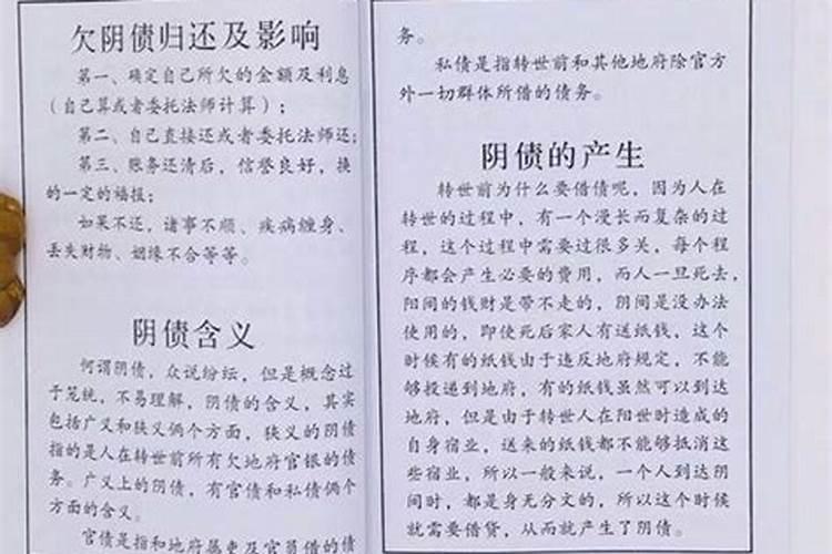 受生债不能还是啥意思？