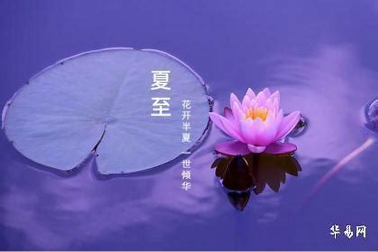 出生在夏至的人