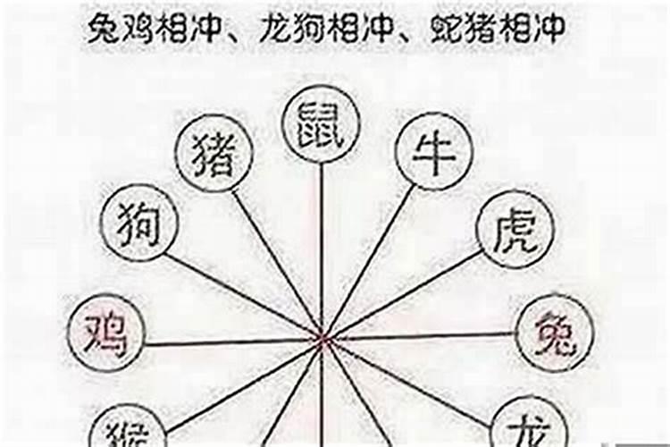 做生意属鼠和什么属相最配？