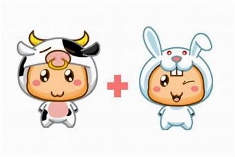 属牛和属兔能合婚吗？