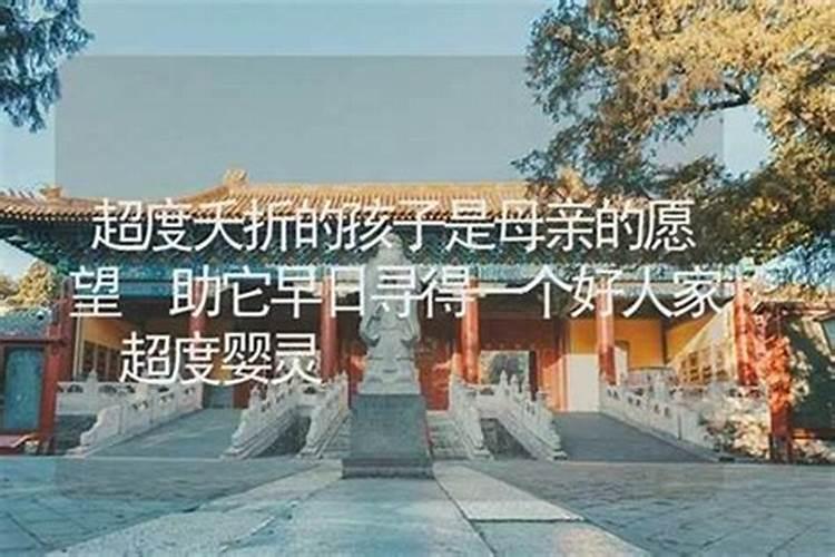 夭折的孩子去了哪里？