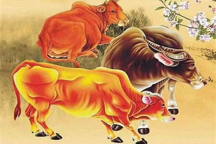 牛和什么属相婚配合适？