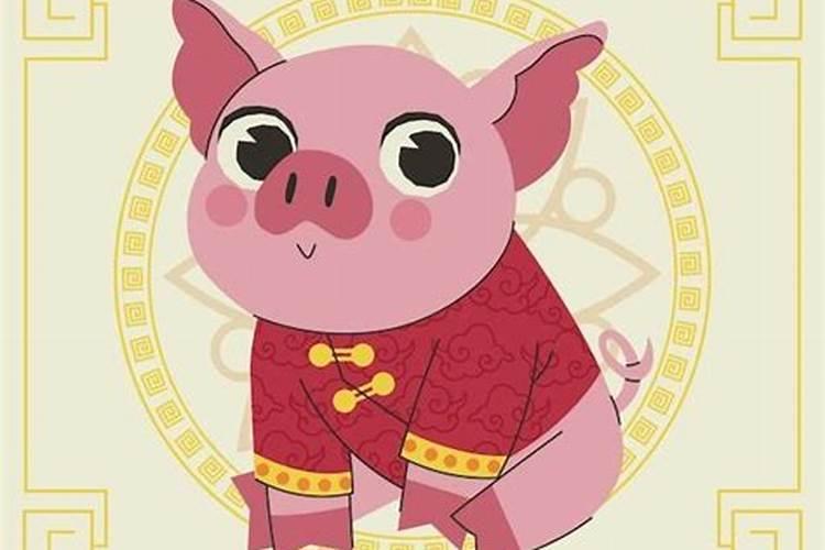 1972猪今年的运势如何？