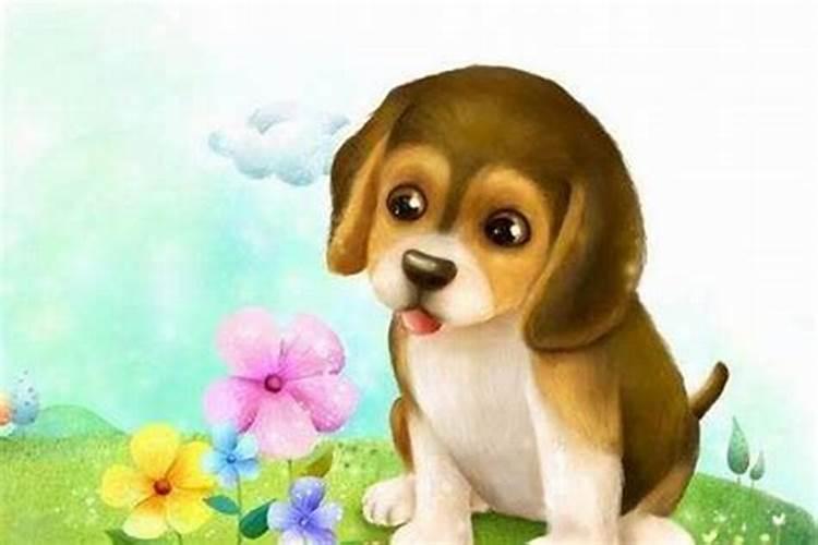 94年属狗2026年运势女