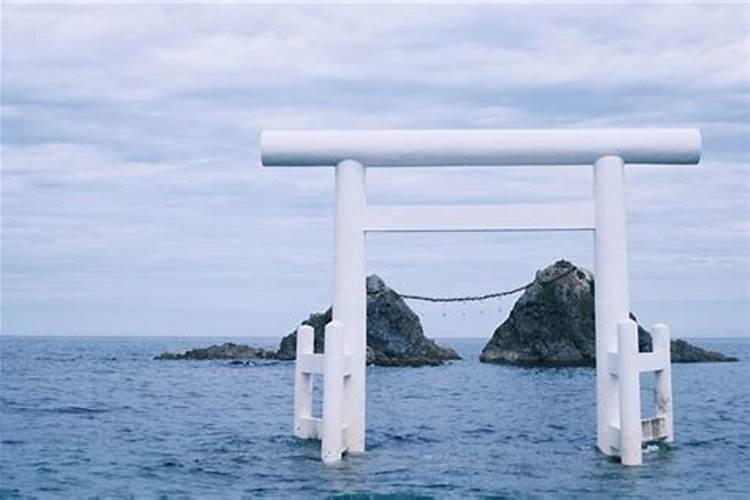 1985年在2026运势如何？