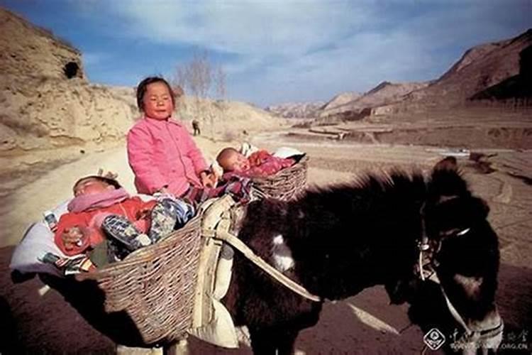 正月初二水瓶女的命运