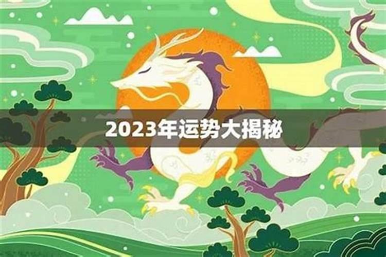 属龙今年爱情运势