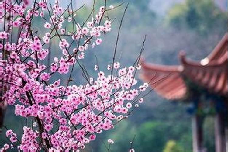 生辰八字带桃花怎么看？