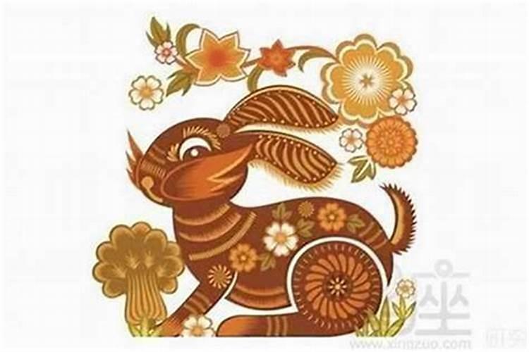 属兔克太岁是什么意思？