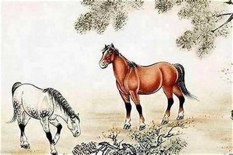 女马与什么属相婚配好？