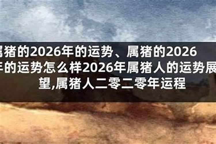 属猪的在2026年的运程怎么样？
