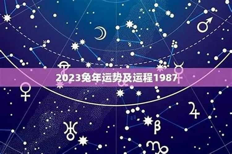 1977年男2026年运势如何？