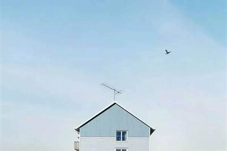 詹妮弗爱情运势准吗？