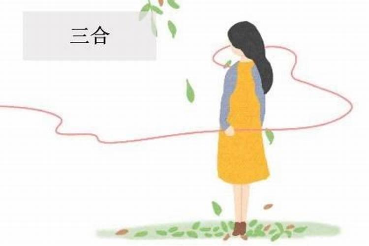 三合婚姻是指哪三合？