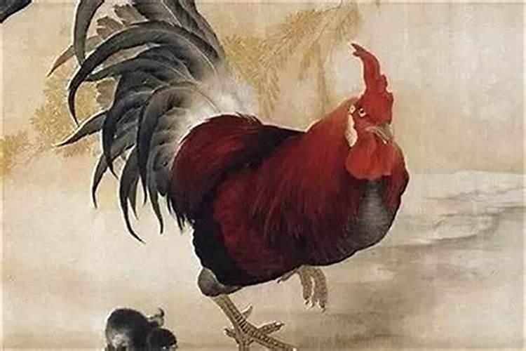 属鸡犯太岁能去五七吗？