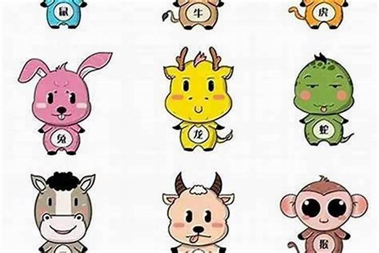 可以本命年结婚的属相女