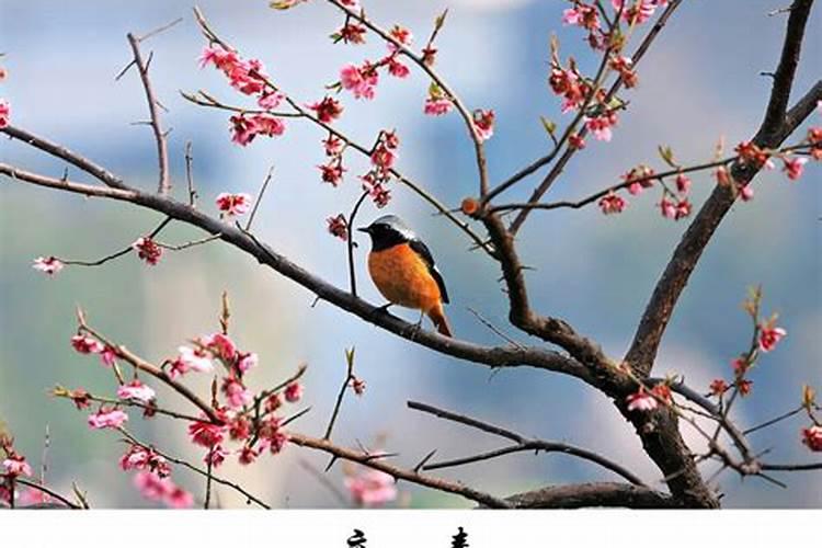 立春的来历由来历