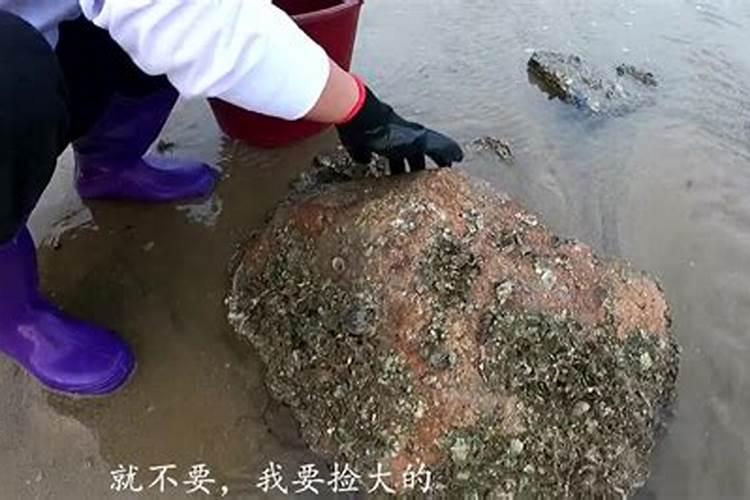 梦见大海潮水退后捡鱼虾