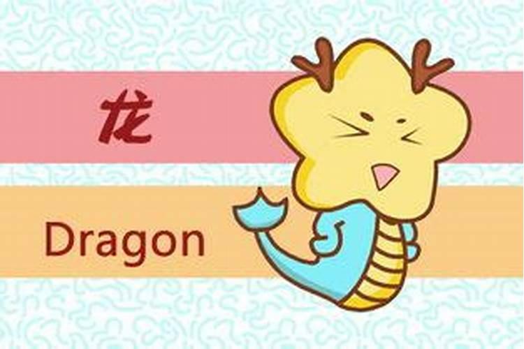 属龙和属牛的八字合吗？