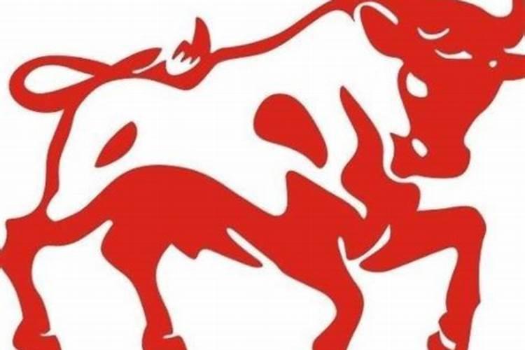 牛跟马八字合不合