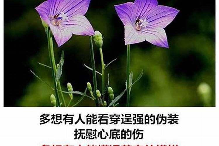 小人害怕被人揭穿吗？