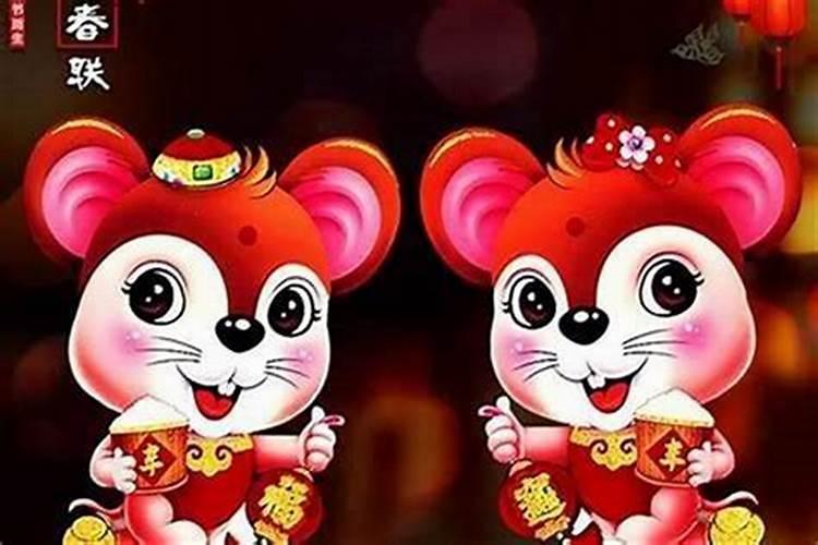 属猪属鼠的合婚吗？