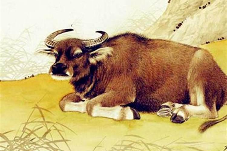 属牛仇人是谁？